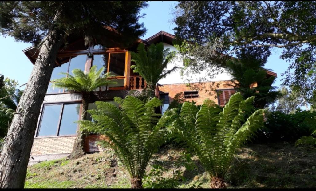 Вилла Casa Nobre Грамаду Экстерьер фото